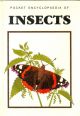 Insects 