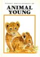 Animals Young