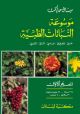 Encyclopedia of Medicinal Plants (Volume 5)