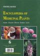 Encyclopedia of Medicinal Plants (V.6)