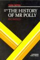 The History Of Mr Polly