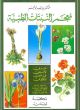 A Dic. of Medicinal Plants Ar-La-Fr-En 