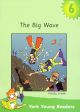 The Big Wave Level 6 