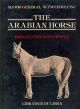 The Arabian Horse